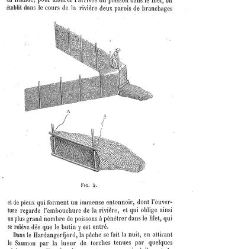 Bulletin de la Société nationale d&apos;acclimatation de France (1896)(1866) document 156096