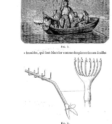 Bulletin de la Soci&eacute;t&eacute; nationale d'acclimatation de France (1896)(1866) document 156097