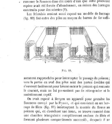 Bulletin de la Société nationale d&apos;acclimatation de France (1896)(1866) document 156103