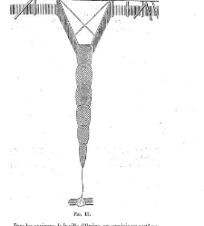 Bulletin de la Société nationale d&apos;acclimatation de France (1896)(1866) document 156106