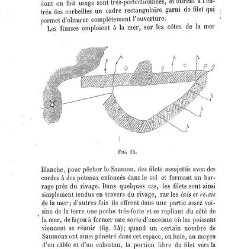 Bulletin de la Société nationale d&apos;acclimatation de France (1896)(1866) document 156107