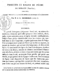 Bulletin de la Soci&eacute;t&eacute; nationale d'acclimatation de France (1896)(1866) document 156158