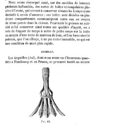 Bulletin de la Société nationale d&apos;acclimatation de France (1896)(1866) document 156162