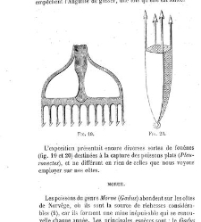 Bulletin de la Société nationale d&apos;acclimatation de France (1896)(1866) document 156163