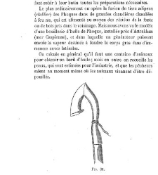 Bulletin de la Société nationale d&apos;acclimatation de France (1896)(1866) document 156255