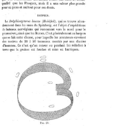 Bulletin de la Société nationale d&apos;acclimatation de France (1896)(1866) document 156256