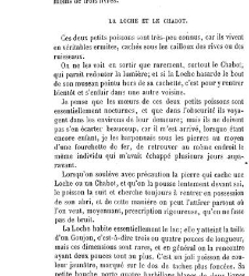 Bulletin de la Société nationale d&apos;acclimatation de France (1896)(1866) document 156289