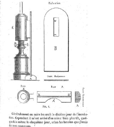 Bulletin de la Société nationale d&apos;acclimatation de France (1896)(1867) document 153805