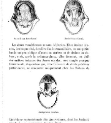 Bulletin de la Société nationale d&apos;acclimatation de France (1896)(1867) document 154243