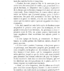 Bulletin de la Soci&eacute;t&eacute; nationale d'acclimatation de France (1896)(1867) document 154352