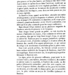 Bulletin de la Société nationale d&apos;acclimatation de France (1896)(1869) document 156611