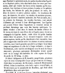 Bulletin de la Société nationale d&apos;acclimatation de France (1896)(1869) document 156958