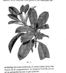 Bulletin de la Société nationale d&apos;acclimatation de France (1896)(1869) document 157050