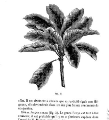 Bulletin de la Société nationale d&apos;acclimatation de France (1896)(1869) document 157051