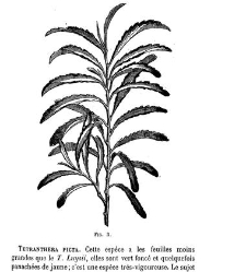 Bulletin de la Société nationale d&apos;acclimatation de France (1896)(1869) document 157052