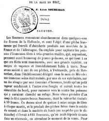 Bulletin de la Société nationale d&apos;acclimatation de France (1896)(1869) document 157076