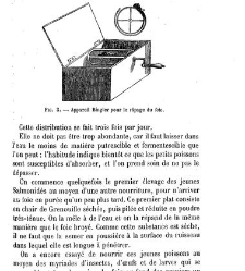 Bulletin de la Société nationale d&apos;acclimatation de France (1896)(1869) document 157110