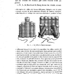 Bulletin de la Soci&eacute;t&eacute; nationale d'acclimatation de France (1896)(1872) document 155178