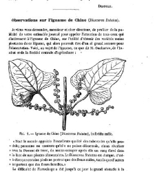 Bulletin de la Soci&eacute;t&eacute; nationale d'acclimatation de France (1896)(1872) document 155189