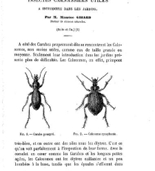 Bulletin de la Soci&eacute;t&eacute; nationale d'acclimatation de France (1896)(1872) document 155430