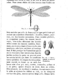 Bulletin de la Soci&eacute;t&eacute; nationale d'acclimatation de France (1896)(1872) document 155450