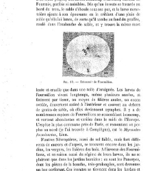 Bulletin de la Soci&eacute;t&eacute; nationale d'acclimatation de France (1896)(1872) document 155451