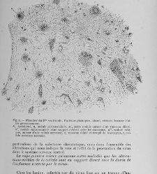 Traité de la rage, par le Dr Victor Babes,...(1912) document 162657