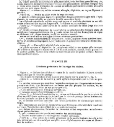 Trait&eacute; de la rage, par le Dr Victor Babes,...(1912) document 163122