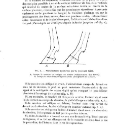 Annales des sciences physiques et naturelles, d&apos;agriculture et d&apos;industrie(1906) document 174885