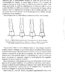 Annales des sciences physiques et naturelles, d&apos;agriculture et d&apos;industrie(1906) document 174888