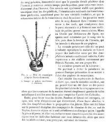 Annales des sciences physiques et naturelles, d&apos;agriculture et d&apos;industrie(1906) document 174905