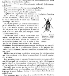 Annales des sciences physiques et naturelles, d&apos;agriculture et d&apos;industrie(1906) document 174910