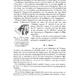 Annales des sciences physiques et naturelles, d&apos;agriculture et d&apos;industrie(1906) document 174911