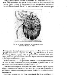 Annales des sciences physiques et naturelles, d&apos;agriculture et d&apos;industrie(1906) document 174916