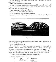 Annales des sciences physiques et naturelles, d&apos;agriculture et d&apos;industrie(1906) document 175159