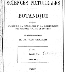 Annales des sciences naturelles. Botanique(1890) document 176866