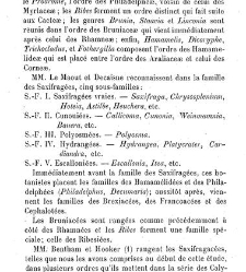Annales des sciences naturelles. Botanique(1890) document 176874