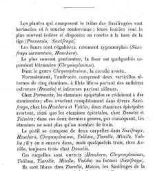 Annales des sciences naturelles. Botanique(1890) document 176878