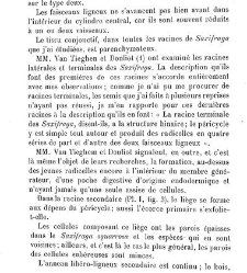 Annales des sciences naturelles. Botanique(1890) document 176881