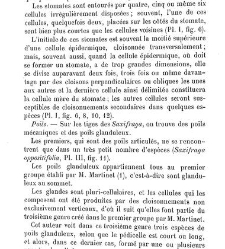 Annales des sciences naturelles. Botanique(1890) document 176883