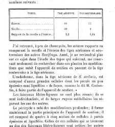Annales des sciences naturelles. Botanique(1890) document 176886