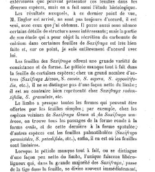 Annales des sciences naturelles. Botanique(1890) document 176904