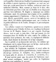Annales des sciences naturelles. Botanique(1890) document 176908