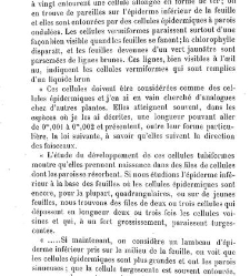 Annales des sciences naturelles. Botanique(1890) document 176909