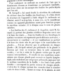 Annales des sciences naturelles. Botanique(1890) document 176915