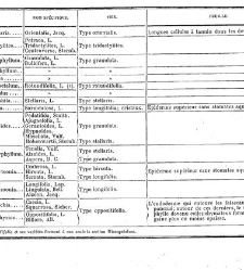 Annales des sciences naturelles. Botanique(1890) document 176920