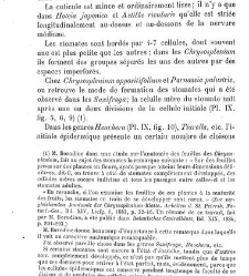 Annales des sciences naturelles. Botanique(1890) document 176931
