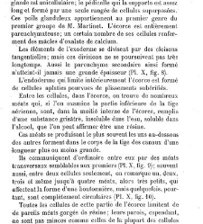 Annales des sciences naturelles. Botanique(1890) document 176934
