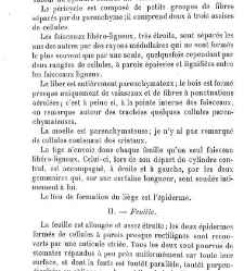 Annales des sciences naturelles. Botanique(1890) document 176935