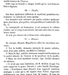 Annales des sciences naturelles. Botanique(1890) document 176938
